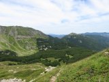 IMG_0102