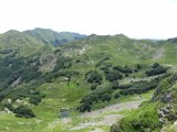 IMG_0106