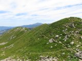 IMG_0123