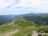 IMG_0130
