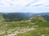 IMG_0133