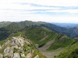IMG_0141