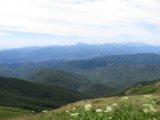 IMG_0182