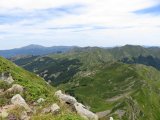 IMG_0203