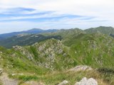 IMG_0225