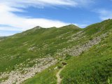IMG_0247