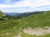 IMG_0250