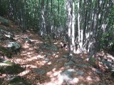 IMG_0257