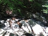 IMG_0263