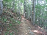 IMG_0264