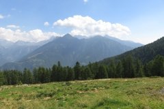 IMG_0007