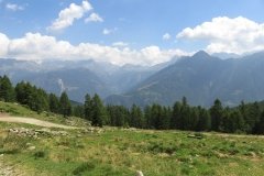 IMG_0010
