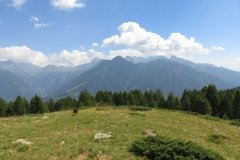 IMG_0015