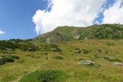 IMG_0025