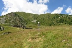 IMG_0029