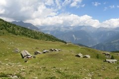 IMG_0035