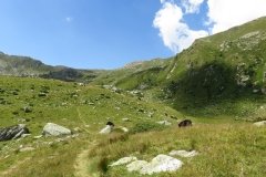 IMG_0045