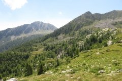 IMG_0048