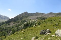 IMG_0051