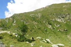 IMG_0053