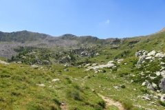 IMG_0061