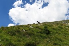 IMG_0107