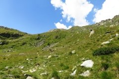 IMG_0113