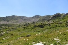 IMG_0115