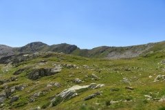 IMG_0125