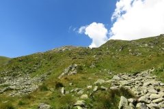 IMG_0126