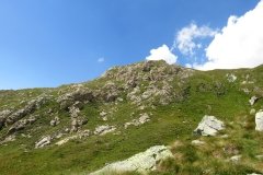 IMG_0134