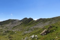 IMG_0141