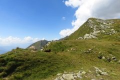 IMG_0143