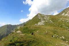 IMG_0148
