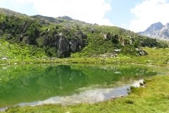 IMG_0290