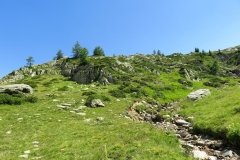 IMG_0297