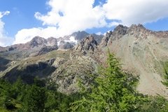 IMG_0302