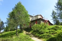IMG_0313
