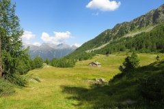 IMG_0324