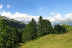 IMG_0328