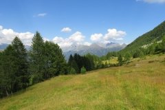 IMG_0331