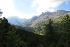 IMG_0340