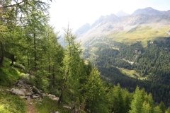 IMG_0343