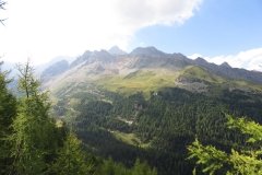 IMG_0345