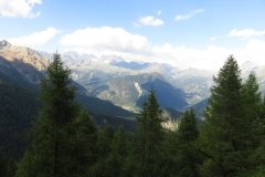 IMG_0351