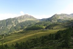 IMG_0372