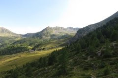 IMG_0377