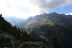 IMG_0378