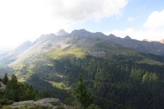 IMG_0380