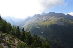 IMG_0393